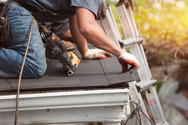 Best Roof Gutter Cleaning  in Doniphan, MO